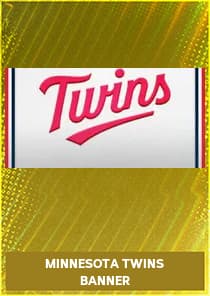 Minnesota Twins Banner