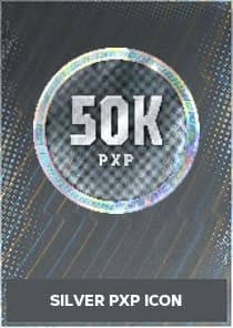 Silver PXP Icon
