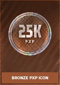 Bronze PXP Icon