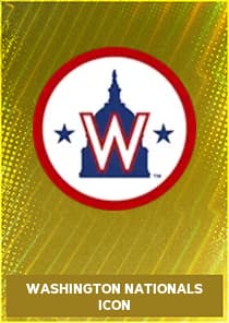 Washington Nationals Icon