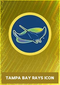 Tampa Bay Rays Icon