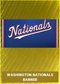 Washington Nationals Banner