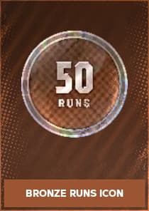 Bronze Runs Icon