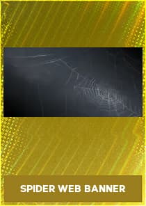 Spider Web Banner