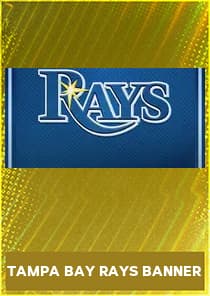 Tampa Bay Rays Banner