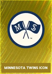 Minnesota Twins Icon
