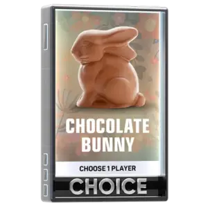 Chocolate Bunny Choice Pack