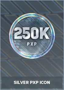 Silver PXP Icon