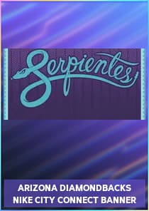 Arizona Diamondbacks Nike City Connect Banner