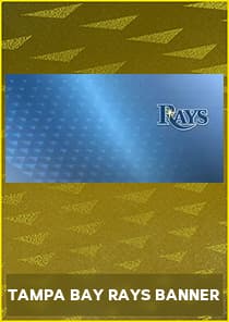 Tampa Bay Rays Banner