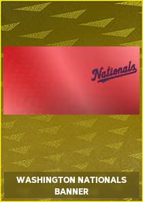 Washington Nationals Banner