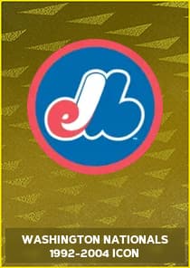 Washington Nationals 1992-2004 Icon